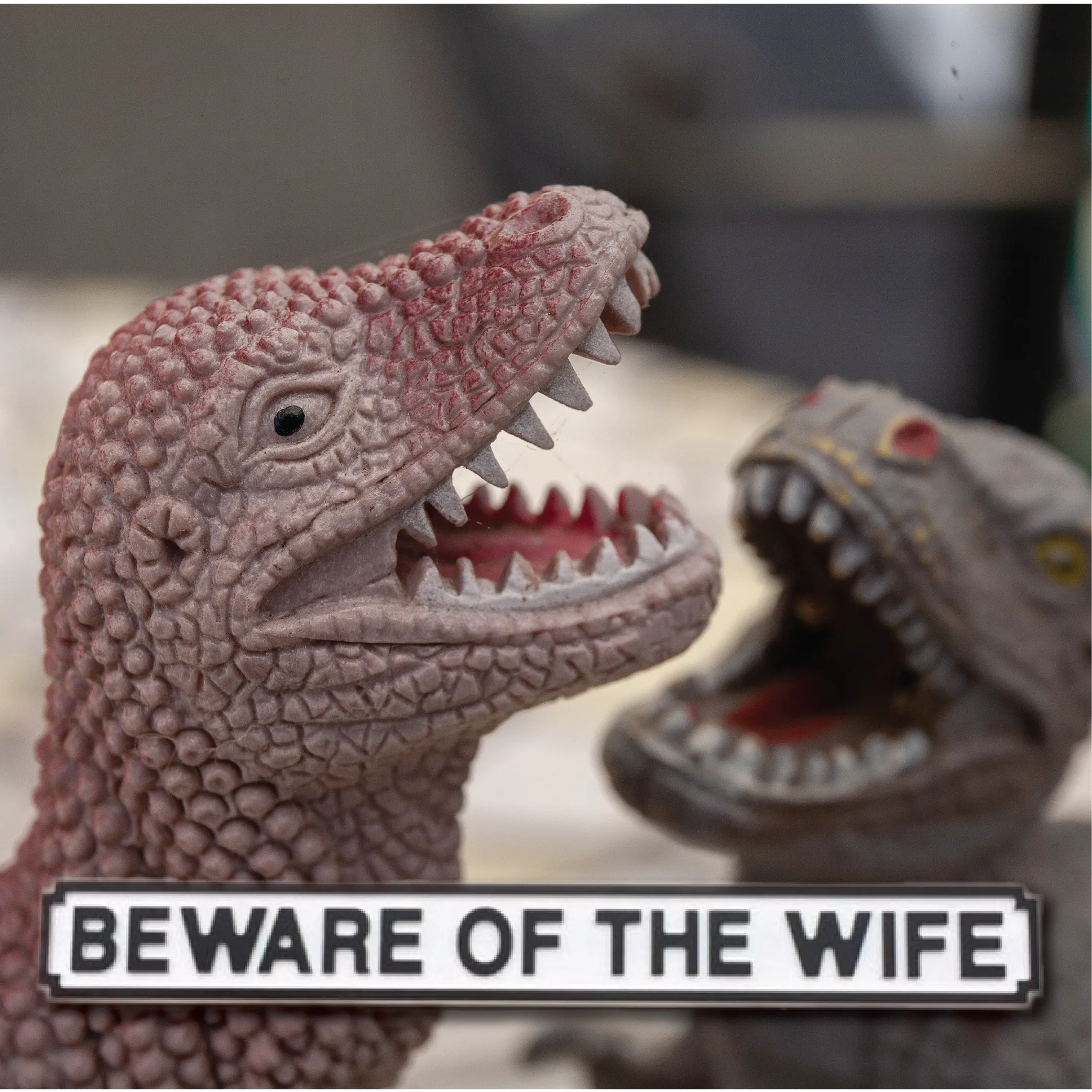 Beware of the Wife Road Sign