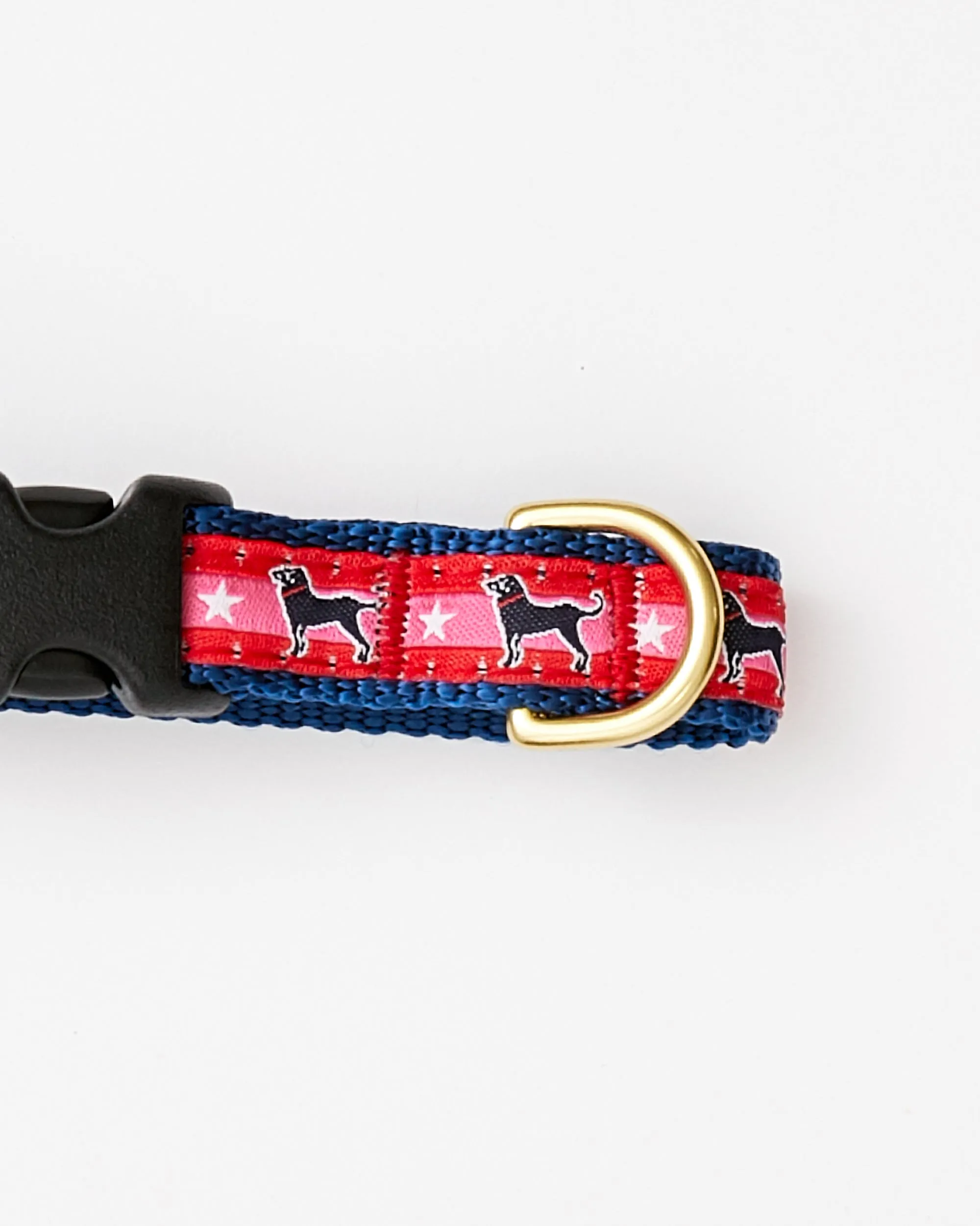 Black Dog Bright Star Dog Collar