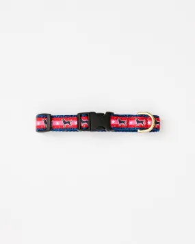 Black Dog Bright Star Dog Collar