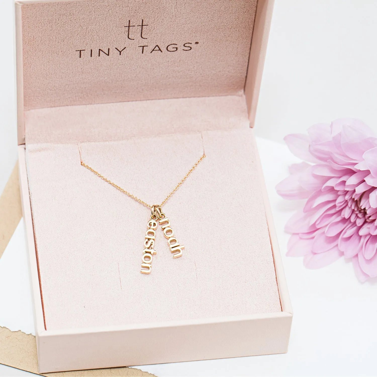 Gold Vertical Name Necklace - 2 Names