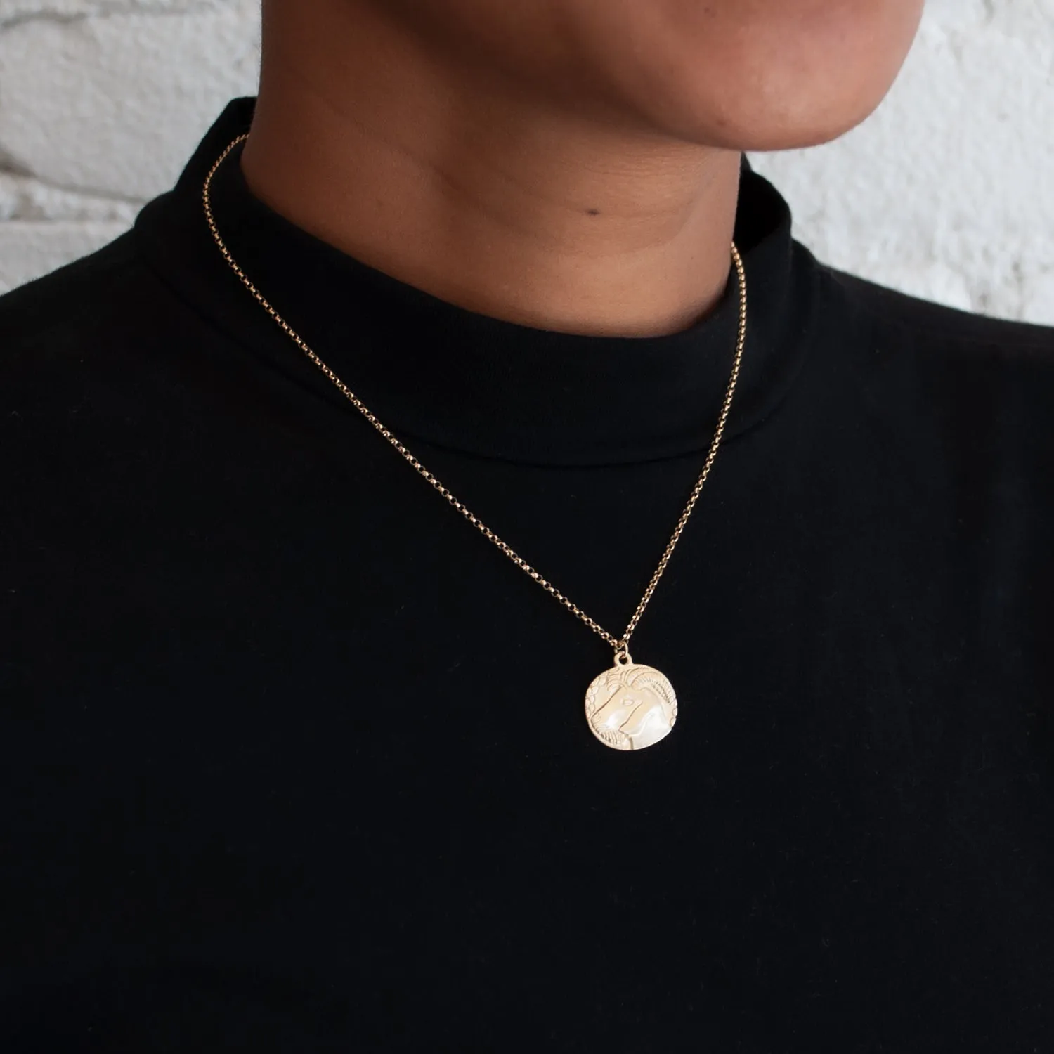 Gold Zodiac Necklace