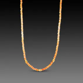 Ombre Carnelian Necklace with Gold Rice Beads