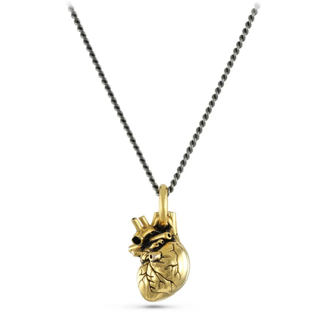 Small Gold Anatomical Heart Necklace