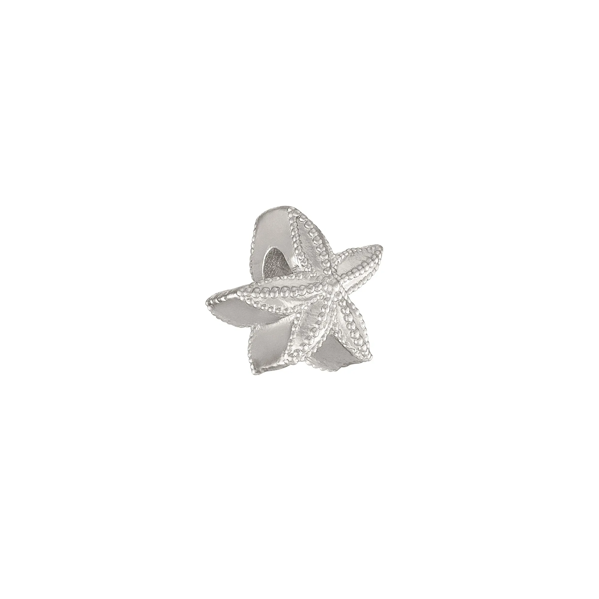 Starfish Charm