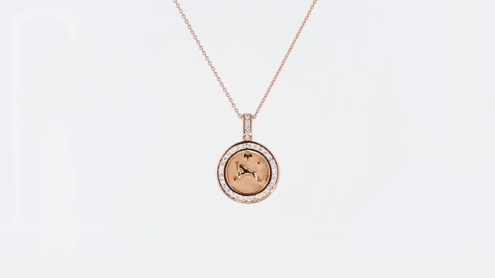 The Zodiac Necklaces without the 18k Gold Chain